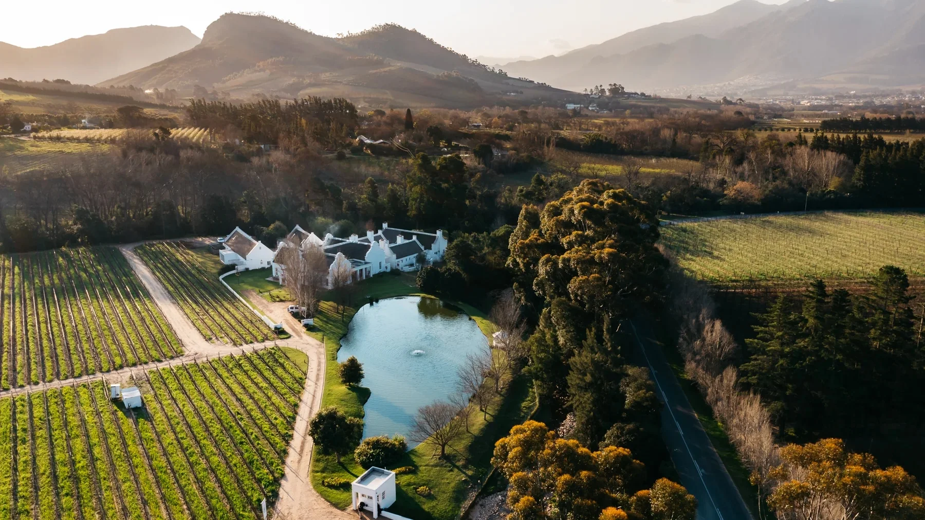 Franschhoek valley from above — vineyards meeting the granite mountains at golden hour